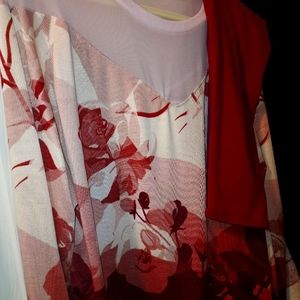 Lularoe outfit tc leggings xl lizzy